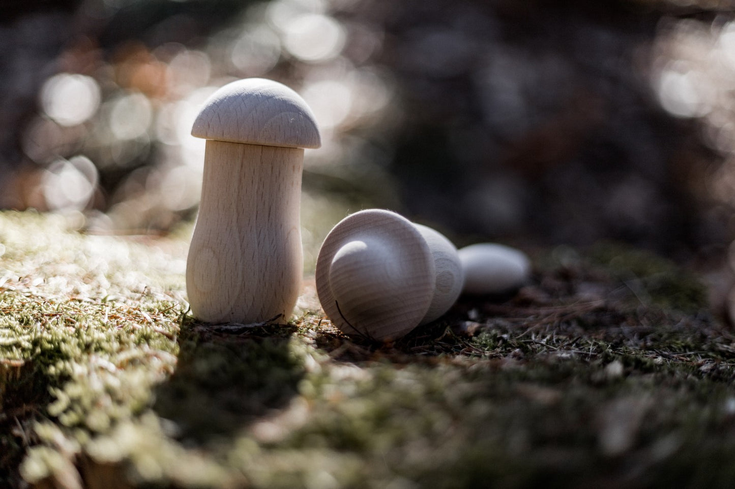 Kreativrassel "Otto" in Pilzform zum selbst befüllen